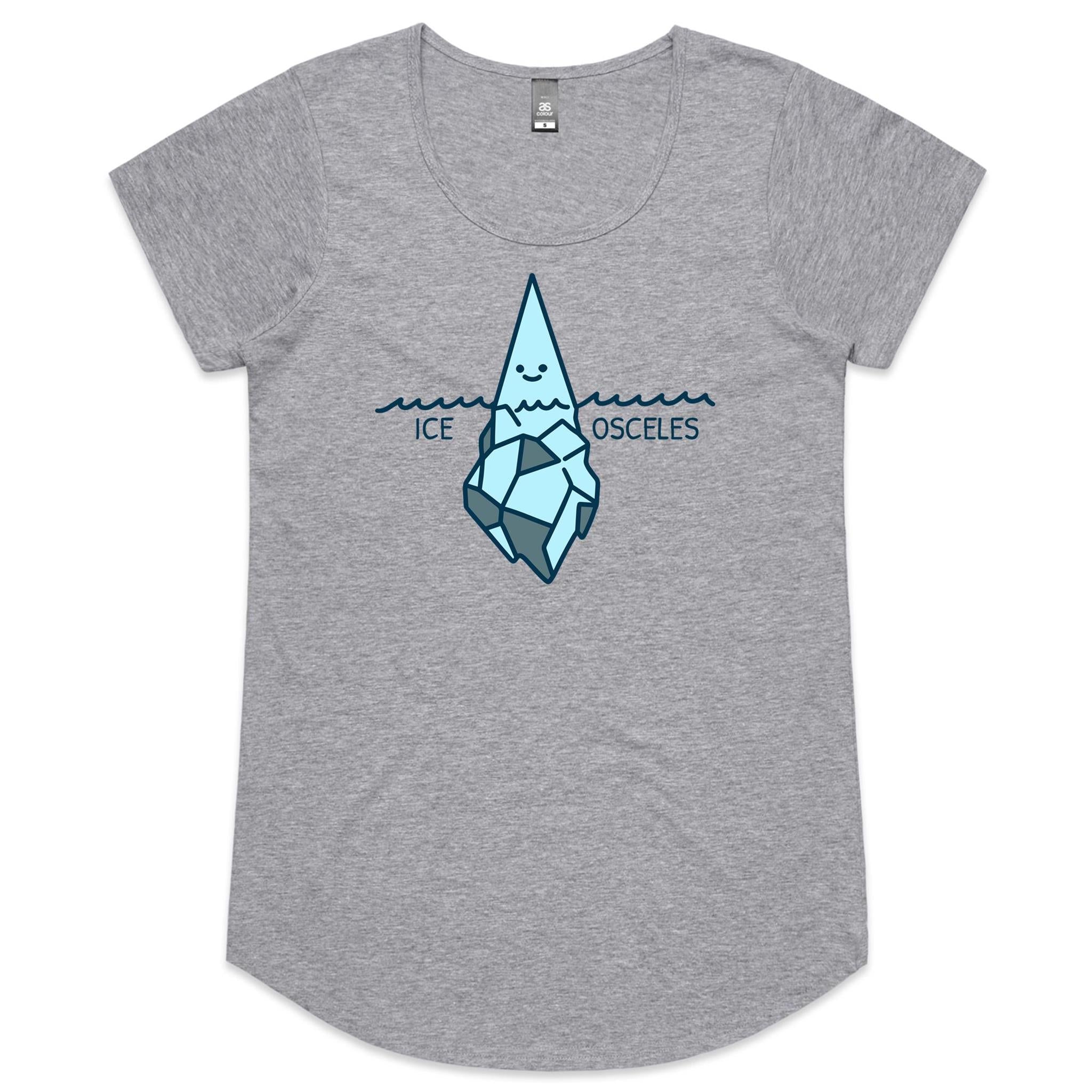 Ice-Osceles, Maths - Womens Scoop Neck T-Shirt Grey Marle Womens Scoop Neck T-shirt Maths Printed In Australia