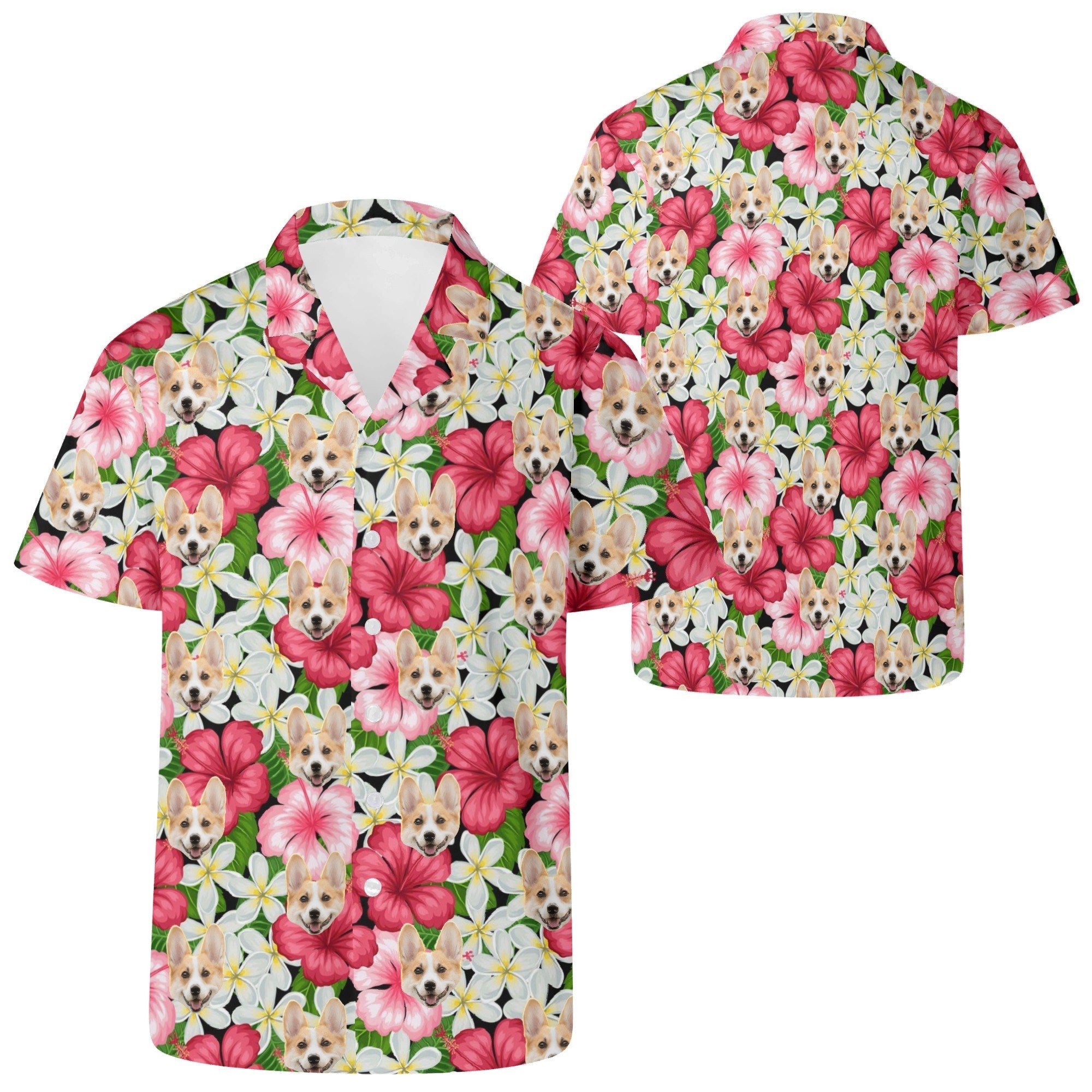 filename-1756515648-1-tPTNRmpO0C