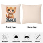 Personalised Ginger Cat Cushion Cover Personalised Cushion Cover animal Printed Offshore