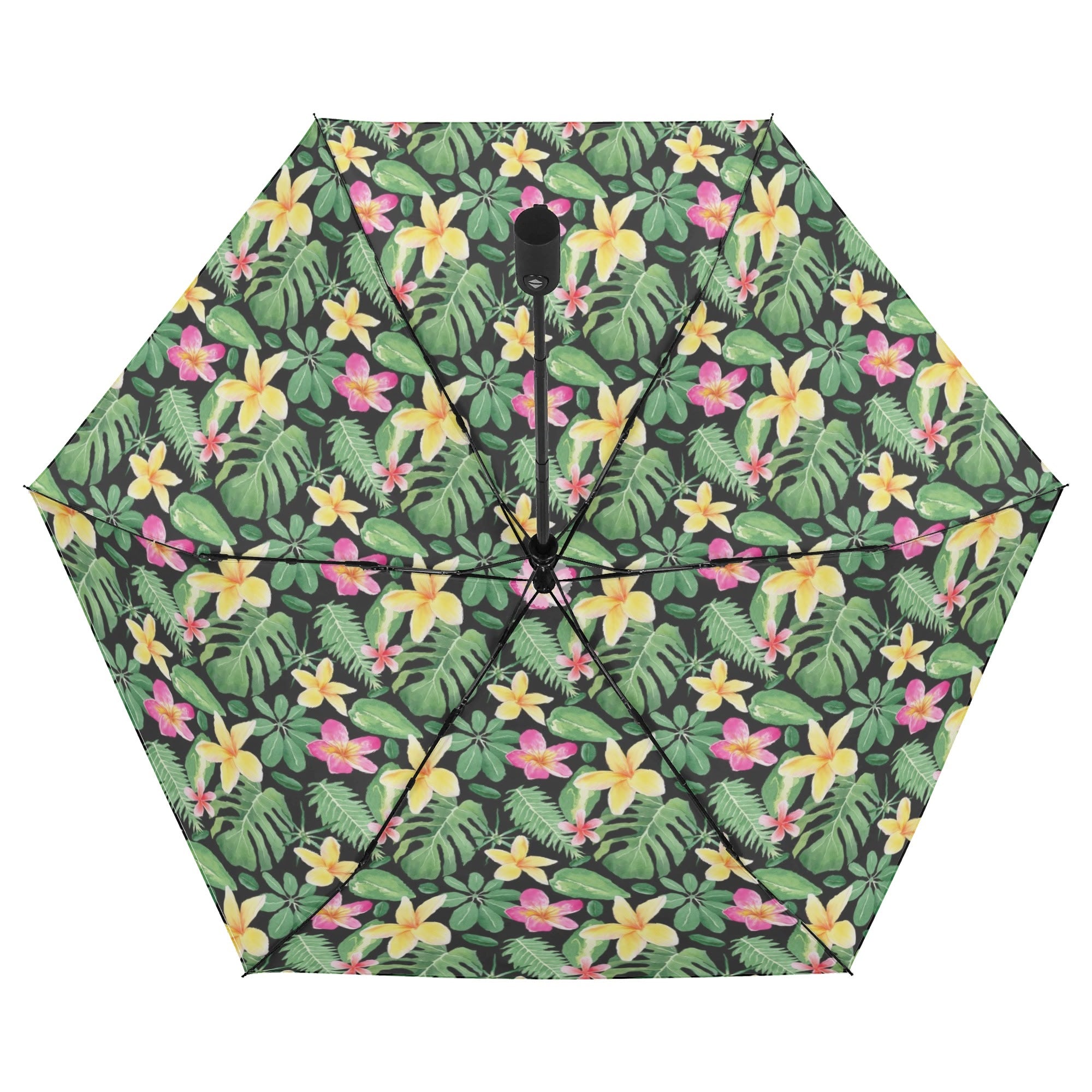 Frangipani Compact Automatic Umbrella Compact Automatic Umbrella Plants Printed Offshore