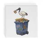 Bin Chicken Australian Ibis Square Ceramic Coasters 4 Pcs Square Ceramic Coaster 4pcs Printed Offshore