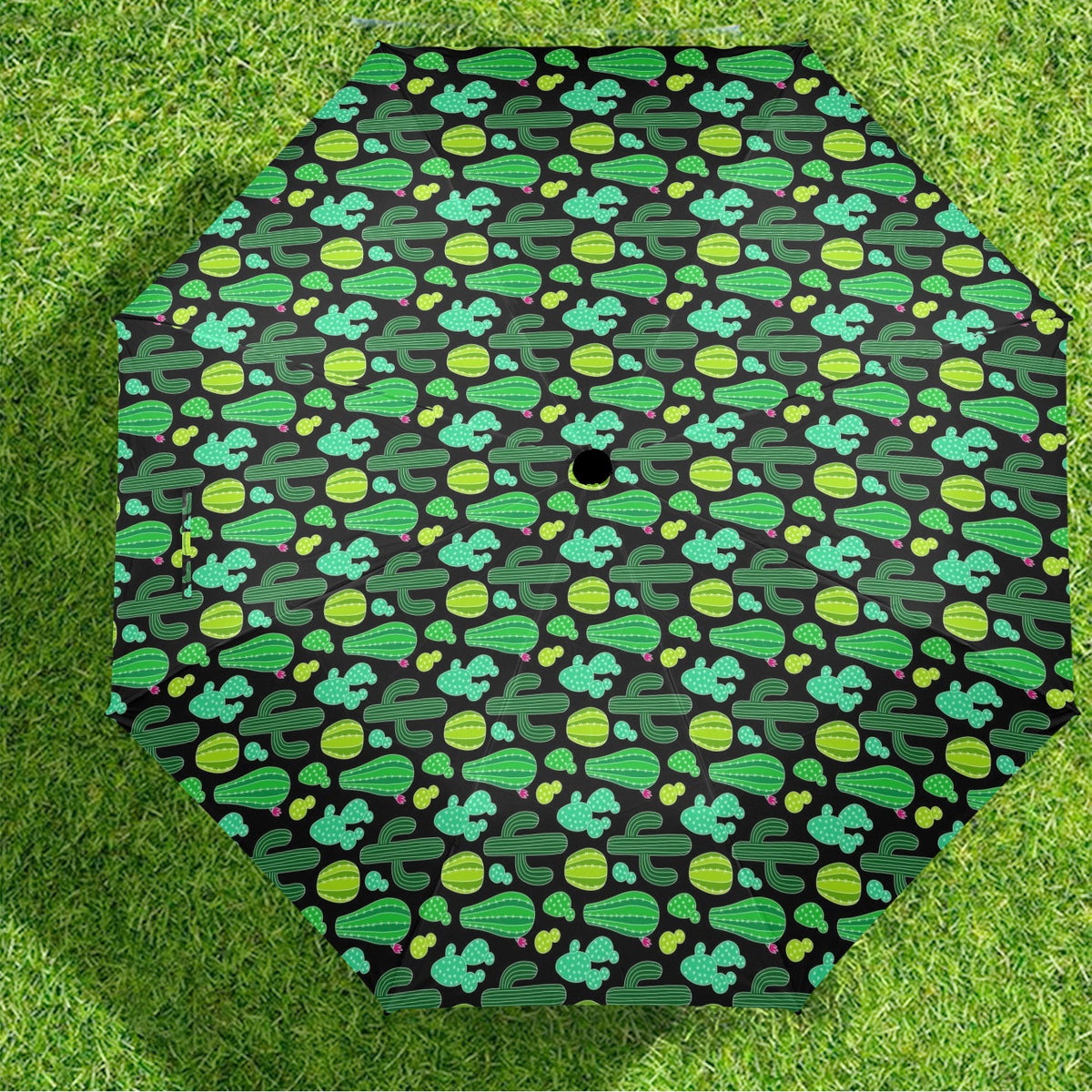 Cactus Plants Umbrella Umbrella Plants Printed Offshore