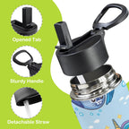 Playful Seals 12oz Kids Water Bottle with Straw Lid