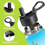 Around The World - 12oz Kids Water Bottle with Straw Lid