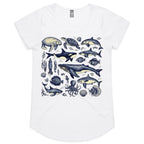 Sea Creatures - Womens Scoop Neck T-Shirt White Womens Scoop Neck T-shirt animal Printed In Australia