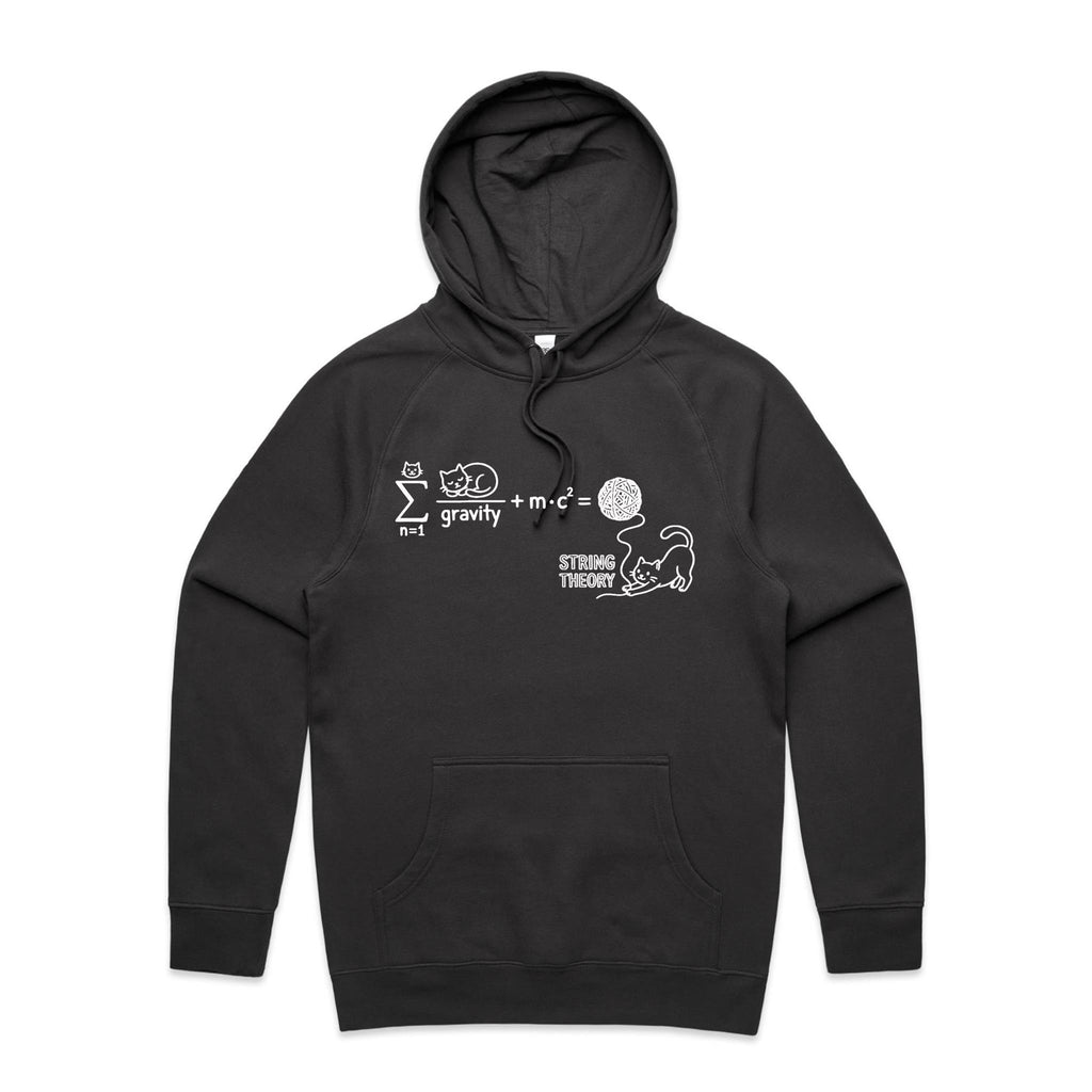 Cat String Theory Physics Men's AS Colour Hoodie