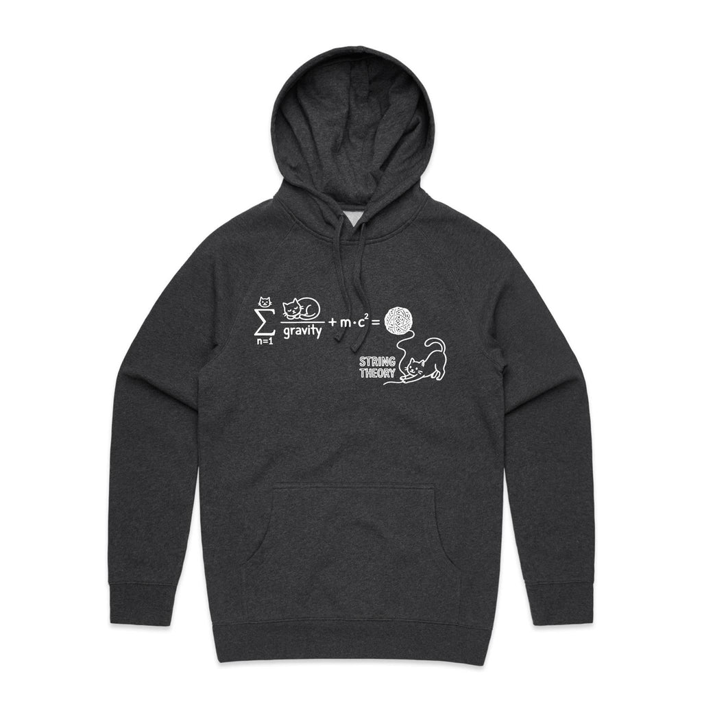 Cat String Theory Physics Men's AS Colour Hoodie