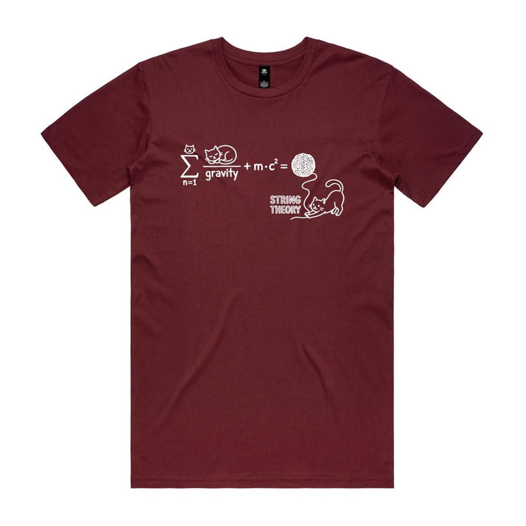 Cat String Theory Physics Men's AS Colour T-shirt