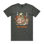 Stay Weird, Guitar Playing Frog On A Snail Men's AS Colour T-shirt Charcoal Mens T-shirt animal Music Printed In Australia